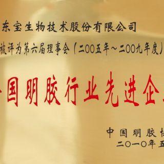 天下明胶行业先进企业