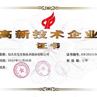 高新手艺企业